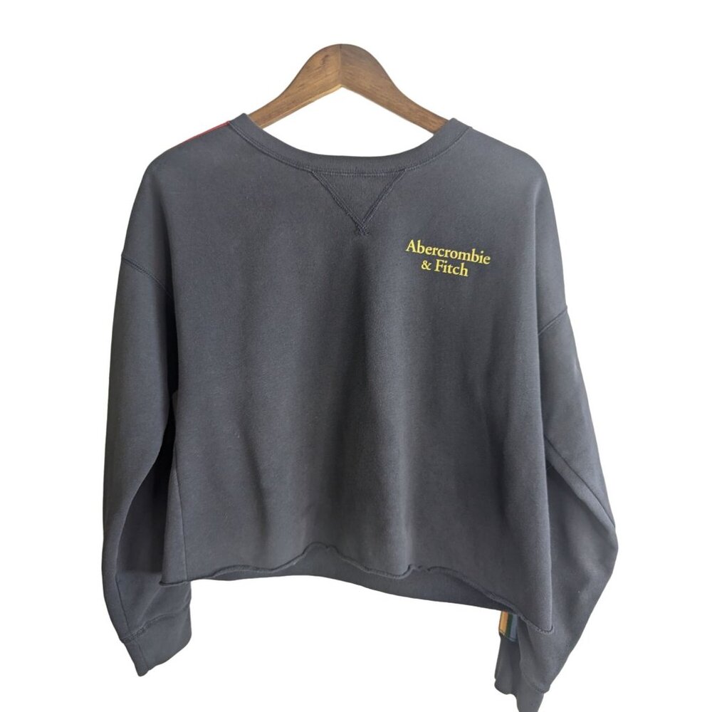 Abercrombie & Fitch Rainbow Stripe Cropped Sweatshirt Cozy & Casual Logo Sz S